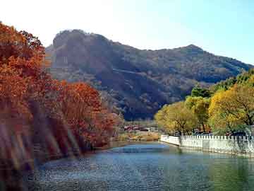 新澳天天开好彩大全，杨过重生在都市